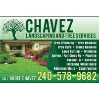 Chavez Landscaping & Tree Services image 2